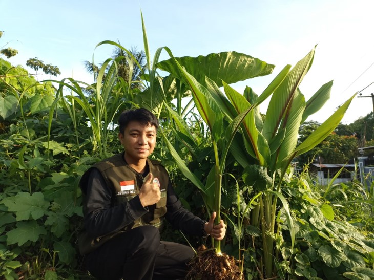 Budidaya Tanaman Anti Kanker